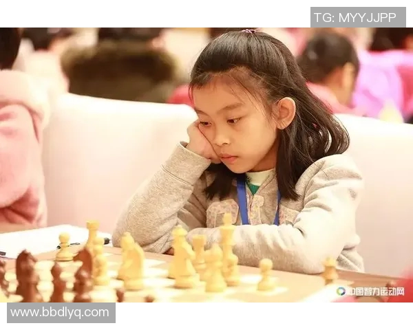 南京排球队拼搏历程揭秘努力与荣耀交织的杯赛之路